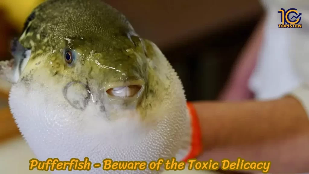 Pufferfish - Beware of the Toxic Delicacy 