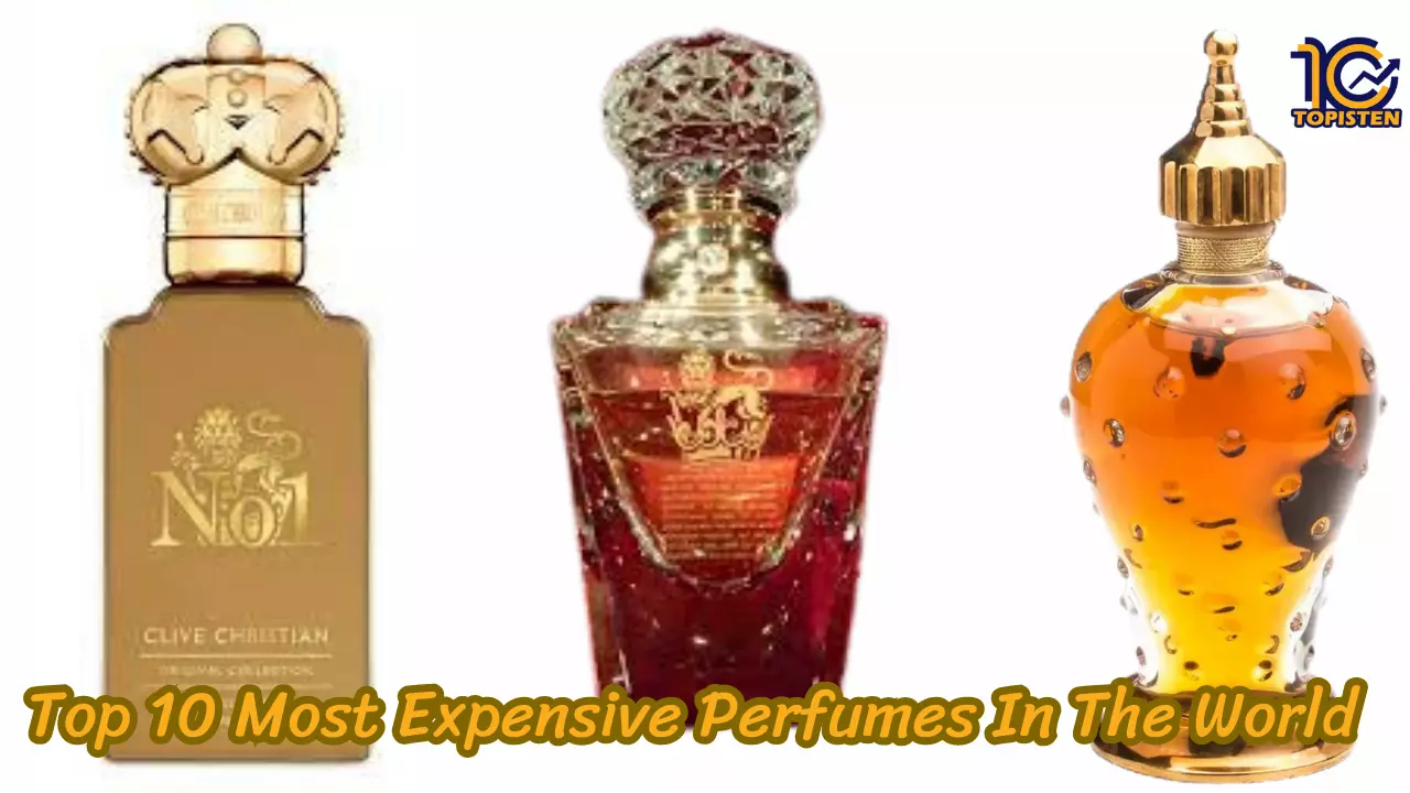  Top 10 Most Expensive Perfumes In The World (2023)